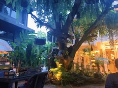 -Fern Forest Cafe