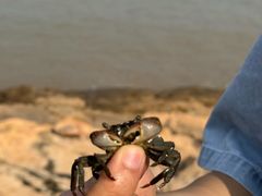 -宁波松兰山滨海旅游度假区