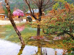 -玉龙雪山蓝月谷