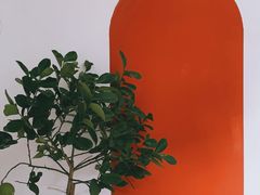 -LuluCake·路鹿蛋糕