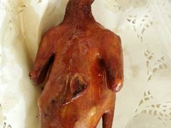 -石岐乳鸽村(南海第三分店)