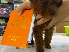 -联合动物医院(光谷诊疗中心)