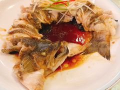 清蒸鲜鲈鱼-博雅渔港·融合菜(维也纳国际大酒店)