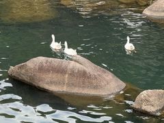-石舍洒秀咖啡馆