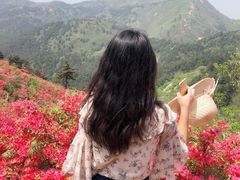 -木兰云雾山