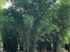 -上海市龙华烈士陵园