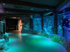 -沈阳海洋探索中心