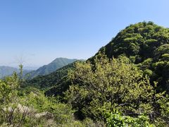 -大岭沟猕猴桃谷风景区