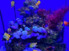 -多彩贵州城极地海洋世界