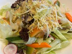 蔬菜色拉-新南华大酒店(长寿店)