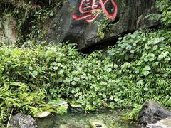 -靖西鹅泉风景区