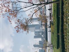 -上海山野camping·户外天幕烧烤·团建拓展营地