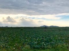 -奥特莱斯停车场