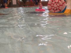 -南宫温泉水世界