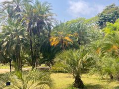 -中国科学院西双版纳热带植物园