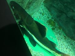 -常州海昌海洋探索馆