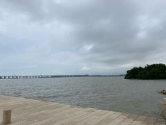 -宝安西湾红树林湿地公园