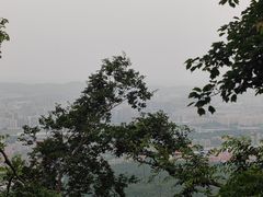 -紫金山山顶公园