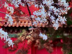 -北京市劳动人民文化宫(太庙)