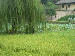 -韶山毛泽东同志故居