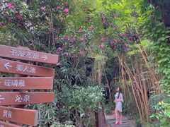 -杭州第一世界大酒店·云曼温泉