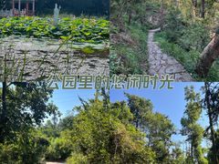 -青龙山国家森林公园