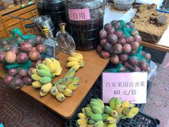 -园林美食城·本土农家菜(杨和镇店)