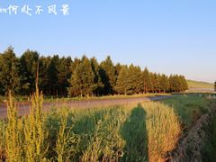 -乌兰布统草原