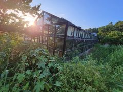 -北马山庄植趣咖啡