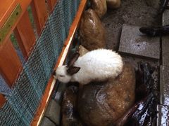 iphone_upload_pic-惠州金海湾嘉华度假酒店