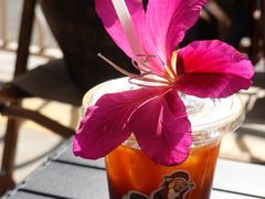 -SAFARI COFFEE