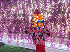 -绿野森林乐园冰雪季