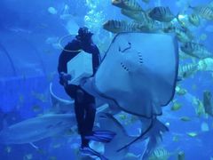 -太平洋海底世界