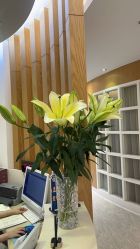 -天津伊美尔医疗整形美容专科医院