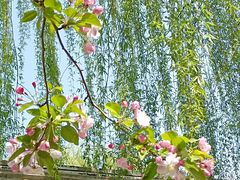 -元大都城垣遗址公园