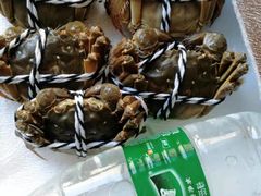-七的湖·晚芳亭·阳澄湖农家菜·大闸蟹(莲花岛店)