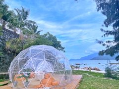 -花海间·即刻露营