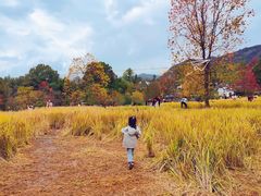 -塔川景区