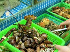 -富临港蒸汽海鲜(栈桥店)