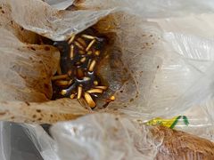 -宋文成烤肉(白沙巷店)