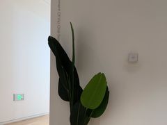 -极简口腔(总院)