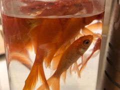 -风云再起游乐汇(南京常发广场店)