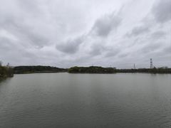 -昆山城市生态森林公园