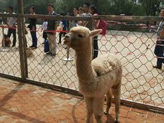 -西安秦岭野生动物园