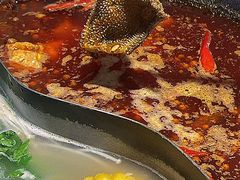 -阳阳老火锅(小南门店)