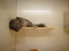 -龙猫仔乐园(惠福东路店)