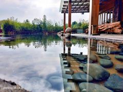 -阳宗海湿地