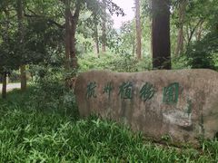-杭州植物园