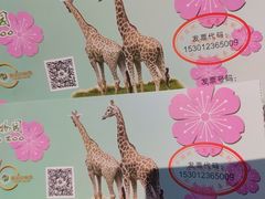 -昆明动物园