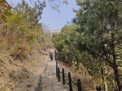 -北京十三陵国家森林公园蟒山景区